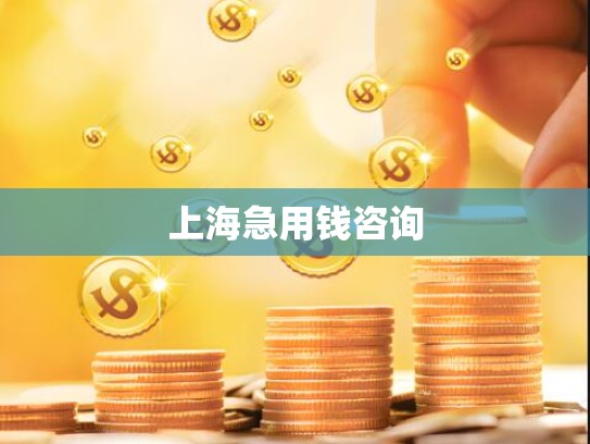 上海急用钱咨询