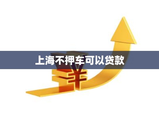 上海不押车可以贷款