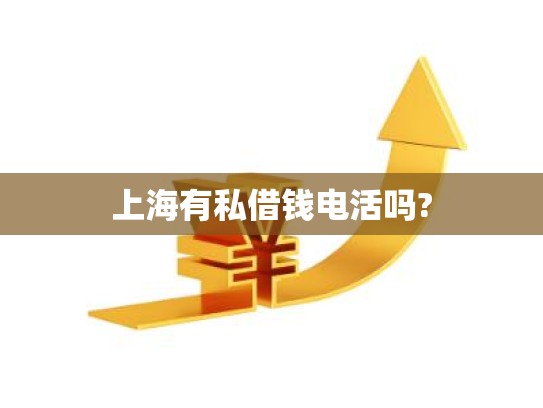 上海有私借钱电活吗?
