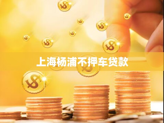 上海杨浦不押车贷款