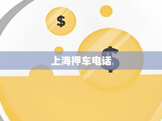上海押车电话