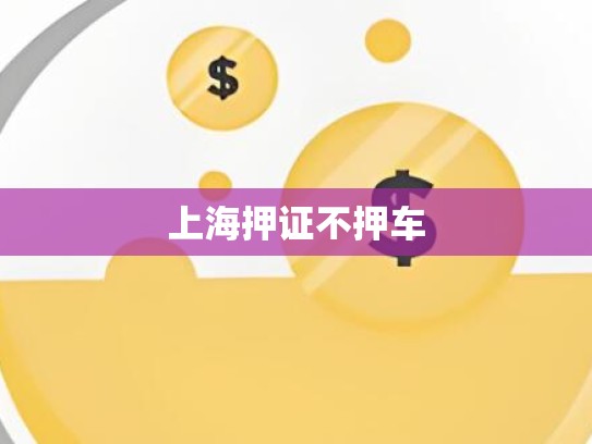 上海押证不押车