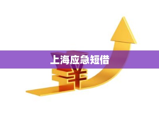 上海应急短借