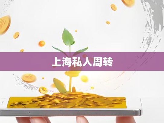 上海私人周转