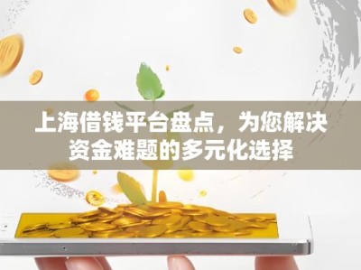 上海借钱平台盘点，为您解决资金难题的多元化选择