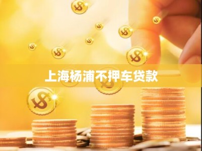 上海杨浦不押车贷款