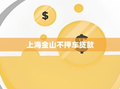 上海金山不押车贷款