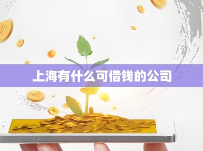 上海有什么可借钱的公司