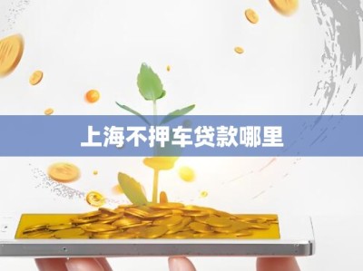 上海不押车贷款哪里
