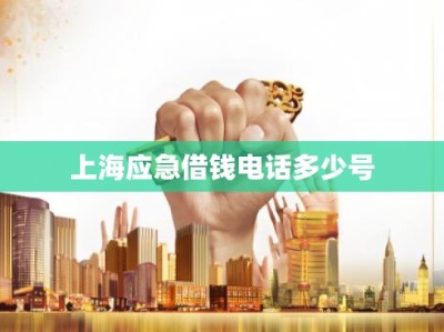 上海应急借钱电话多少号